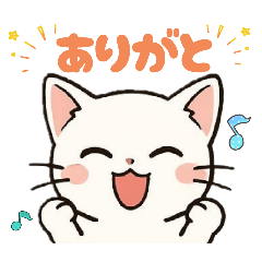 Friendly white and black cats