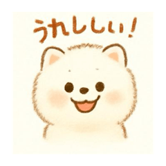 A day of a pomeranian