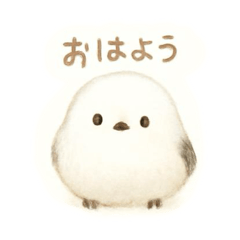 yuka_20251109162025