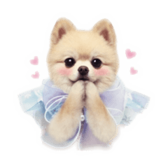 Fluffy Angel Pom