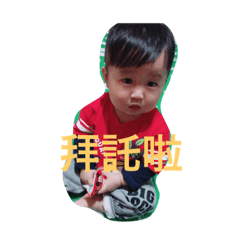 凱凱的日常
