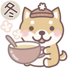 Shiba Inu "sibachan" in winter