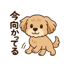 p-suke_20251109212202