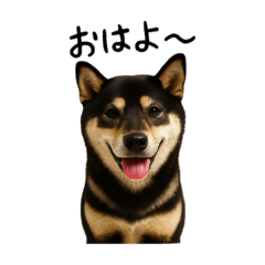 Daichi_20251109234041