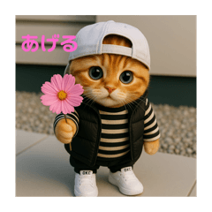 O-chan_20251110090638