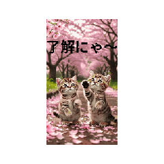 kazuanhthuy_20251110094543