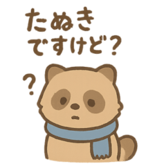 very cute raccoon dog