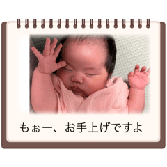 kottyama_20251110120801