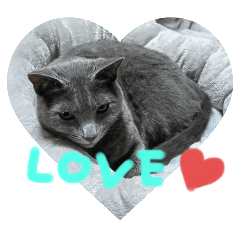 hiroben_20251110120745