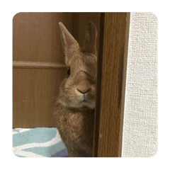 arisa_20251110123537