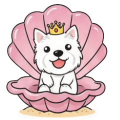 海洋風格狗狗多眉