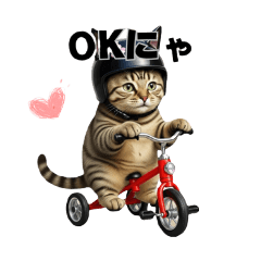 三輪車猫むぎ、今日も爆走中！①