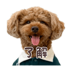 misaki_20251110130326