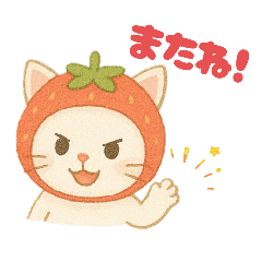 いちごかぶったにゃんこ