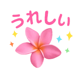 chloe_20251110051435