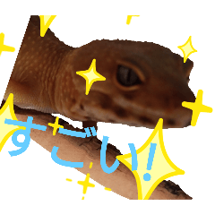 chikuwa_20251110162504