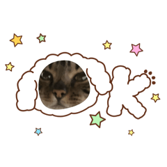 CHIHIRO_20251110171628