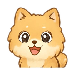 The very cute Pomeranian