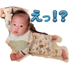 bammbook_20251110200402