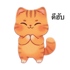 Cat Orange_20251110135107