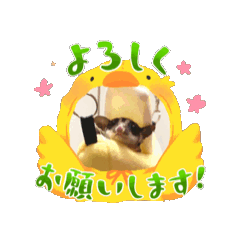 monaka_20251110210704