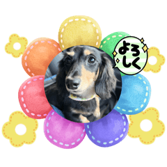 JUNKO_20251110230148