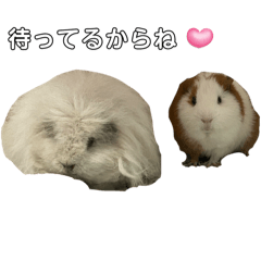 ぽたこや仲良しスタンプ