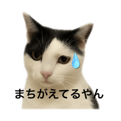 ASUKA_20251111084238