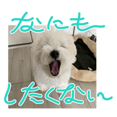 arisa_20251111083525