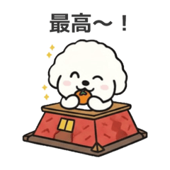 Fluffy Bichon's Winter Fun