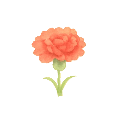 Ringo_20251111021222