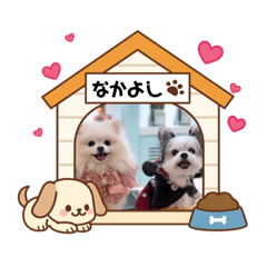 Happy_20251111002816