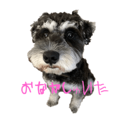 Bunchaaaan_20251110213004