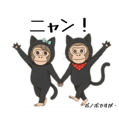 Kinako_20251110213828