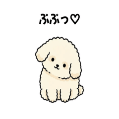 Punny Toy Poodle Stickers
