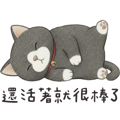 廢爛貓貓✩還活著就很棒了