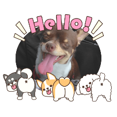 Rinka_20251110212259