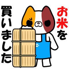 家政夫のミケゾウ 2