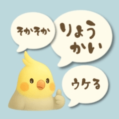 Cockatiel reactions /illustrated version