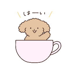 iroca_20251111075745