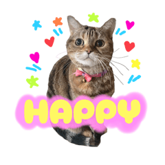 haruka_20251111010501