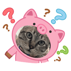 Happy_20251111003222