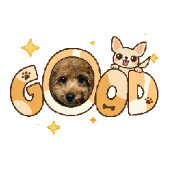 Smile_20251111110638