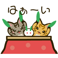 Amour_20251111131541