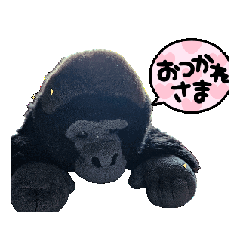 maimai_20251111114311