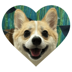 HINATA_20251111121629