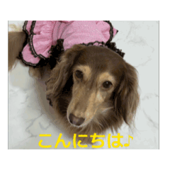 yuka_20251111130602