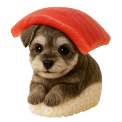 お寿司シュナウザー