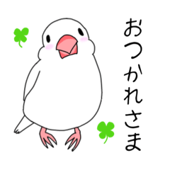 hiyori_20251111003748