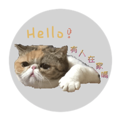 蝦子